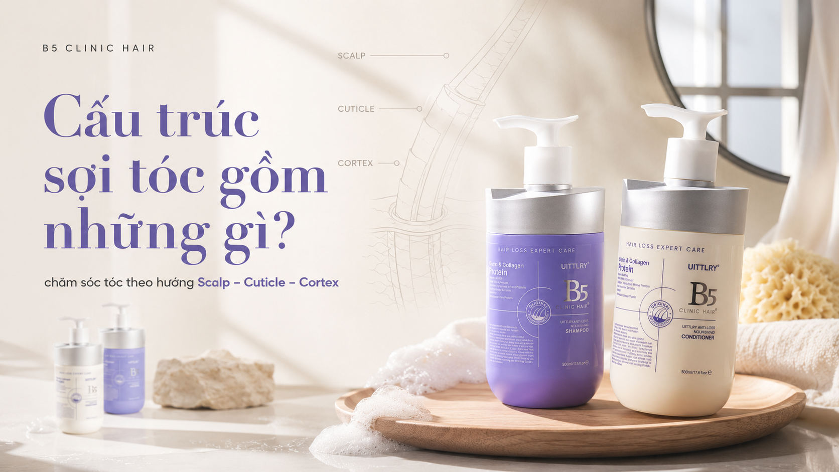Cấu trúc sợi tóc gồm những gì? Hiểu đúng để chăm sóc tóc hiệu quả hơn